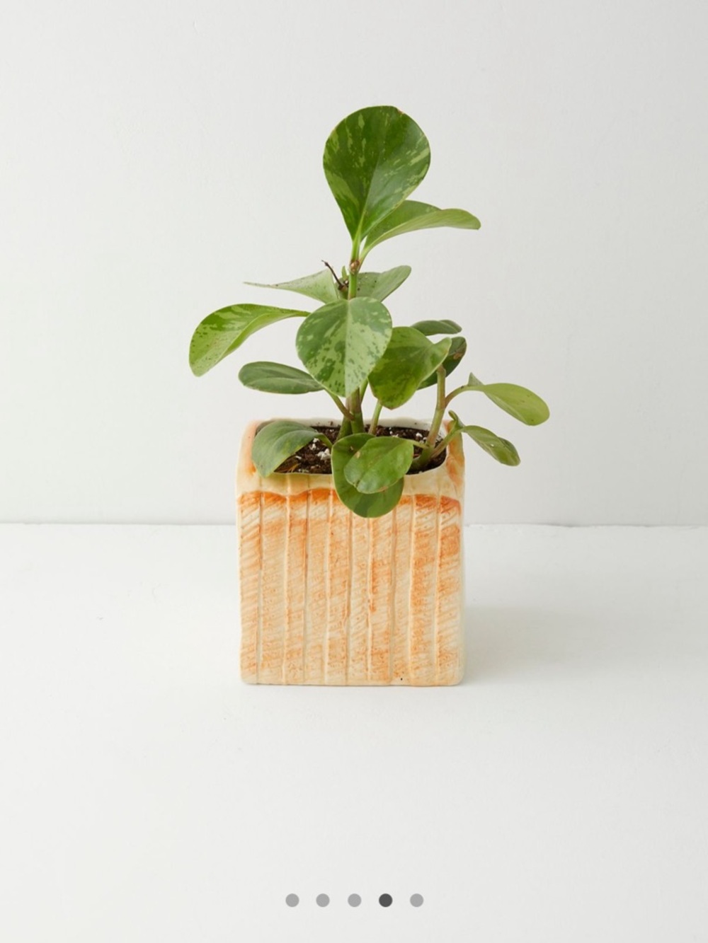 Urban Outfitters Bread Planter - Picture 2 of 11